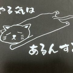 【新品】やる気はある風 黒猫Tシャツ メンズMサイズ ゆるかわ系 おもしろシャツの画像