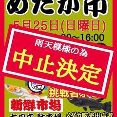 ♦中止♦めだか市 開催 ♦