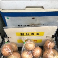 新玉ねぎ（4個）の画像