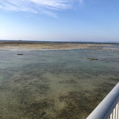 ハウスクリーニング