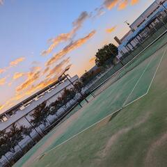 硬式テニス🎾早朝仲間募集🎾