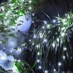レドール ソーラー ストリングライト　白色光20M200LED