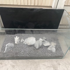 水槽
の画像