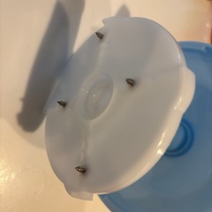 かき氷機の画像