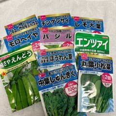 野菜　種　家庭菜園用の画像