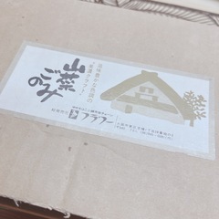 食器　おちょこセットの画像