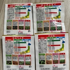 野菜　種　家庭菜園用の画像