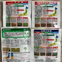 野菜　種　家庭菜園用の画像