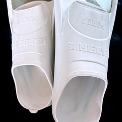 処分価格！LEADERFINS(ロングフィン用ハードケース付き )の画像