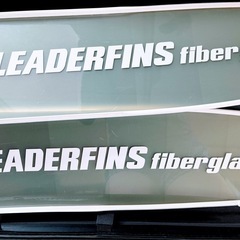 処分価格！LEADERFINS(ロングフィン用ハードケース付き )の画像