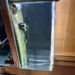 熱帯魚水槽 の画像