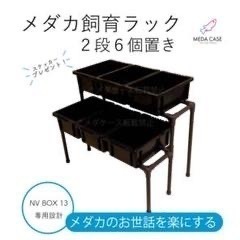 中古品　メダカラック　メダケース