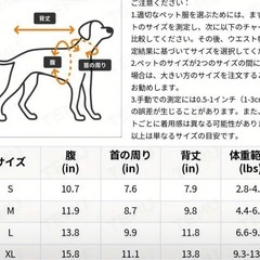⑦犬猫服 春夏 ゴロ入り Sサイズ の画像