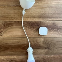 IKEA トロードフリ＋ヘマセット
