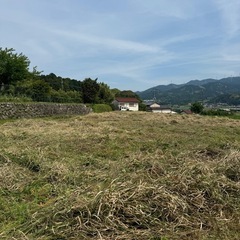 300坪の草刈りを半日で終わらせます。 - 便利屋