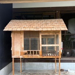 決まりました
