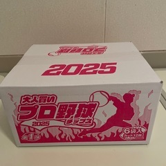 大人買い2025プロ野球チップス　