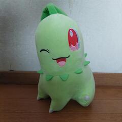 ぬいぐるみ　チコリータ