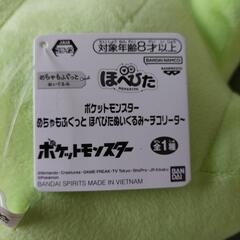 ぬいぐるみ　チコリータの画像
