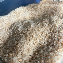 訳あり 備蓄米 お米 5キロ~の画像