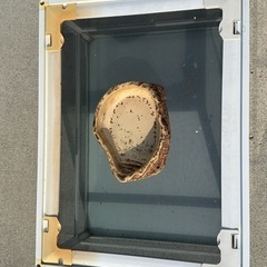 SANKO  爬虫類用ケージの画像