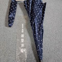 （箱入）ＡＰコート、傘セットの画像