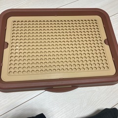 犬　トイレ　しつけの画像