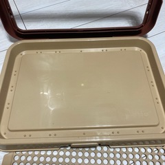犬　トイレ　しつけの画像