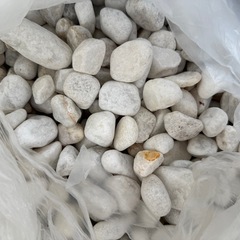 玉じゃり