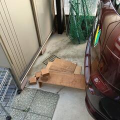処分品➁