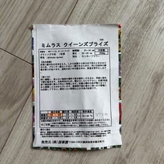 ミムラス　苗　ポットの画像