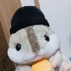 ■黒🎩帽子■