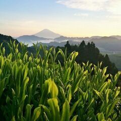 田舎暮らしに興味のある方、長期的な関係を築ける方を募集して…