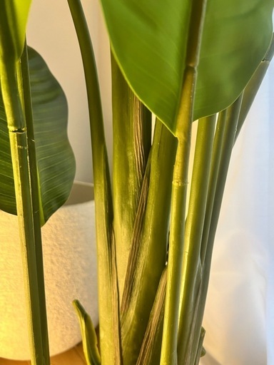 オーガスタ180cmフェイクグリーン　観葉植物