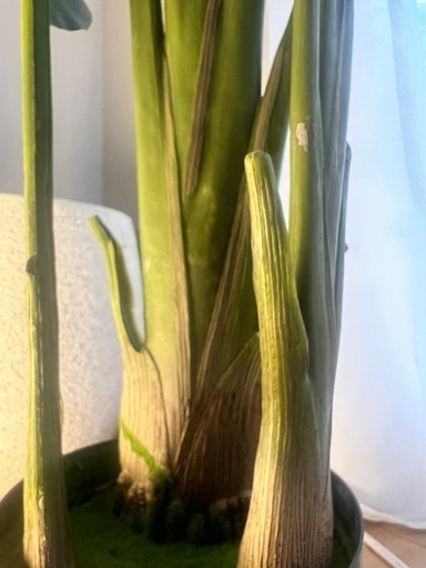 オーガスタ180cmフェイクグリーン　観葉植物