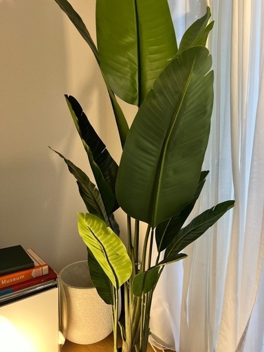 オーガスタ180cmフェイクグリーン　観葉植物