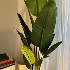 オーガスタ180cmフェイクグリーン　観葉植物