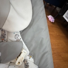 Joie サウンド
バウンサーの画像
