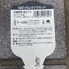 オクラの苗の画像