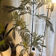 　観葉植物　フェイクグリーン　170cmの画像