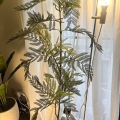 　観葉植物　フェイクグリーン　170cmの画像