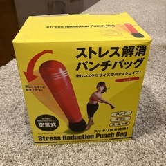 【相談中】パンチバック