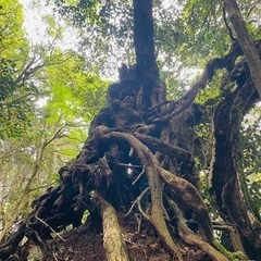 岡本登山部(登山、ハイキング)⛰️