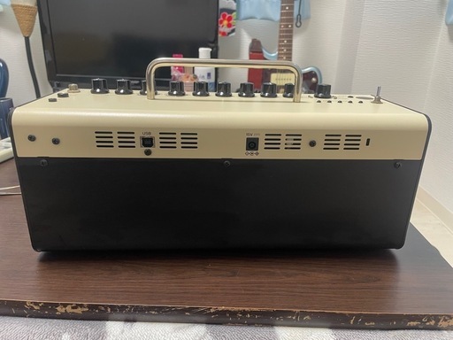 Yamaha THR-10 