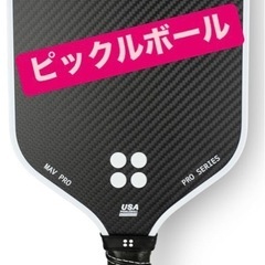 【募集終了】初心者ピックルボールNAGOYA  - 名古屋市