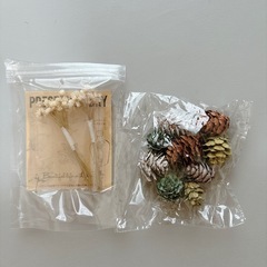 ドライフラワー 松ぼっくり ハンドメイド 材料