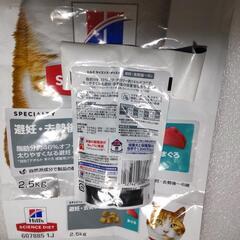 『売約済み』ネコ　猫　CAT 　用品の画像