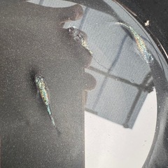 プリンスメダカ　　トリオの画像