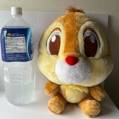 ディズニーキャラクター デールぬいぐるみの画像