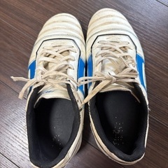 イニエスタCAPITTEN 24cm